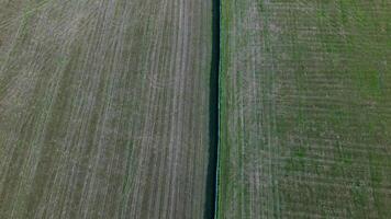 Aerial view of agricultural fields with distinct green and brown sections, showcasing patterns in farming landscapes. video