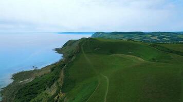 Aerial view of lush green coastal hills with a clear horizon over the calm sea. video