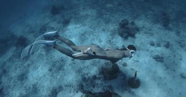 Frau auf Urlaube Freitauchen im tropisch Blau Meer auf Malediven. Freitaucher Mädchen unter Wasser suchen beim Kamera video