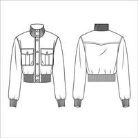 bomber jacket fashion flat technical drawing template button down jacket technical vector