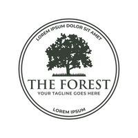 Tree logo design. Pine forest logo vector illustration