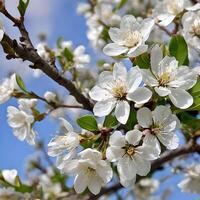 AI generated Branch of a tree white blossoms spring photo