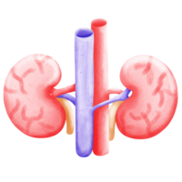 ziekenhuis element, fysiek onderwijs png