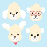 Set of different cute poodle heads vector