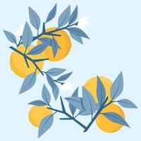 conjunto de composiciones de azul ramas y hojas con naranjas vector