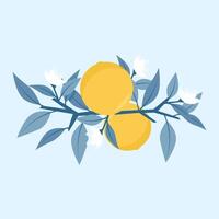 Blue branches with leaves and oranges in the composition vector