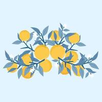 Elegant composition of branches and oranges vector