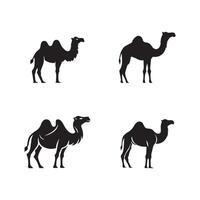 Four Silhouette Illustrations of Camels in Various Poses on White Background vector