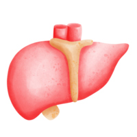 ospedale elemento, fisico formazione scolastica png