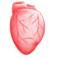 Krankenhaus Element, physisch Bildung png