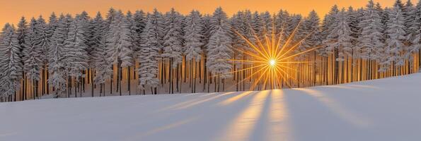 AI generated Winter forest landscape with sun rays and magical atmosphere as nature background photo