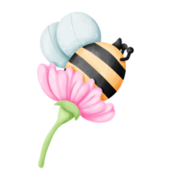 Valentine cute bee png