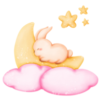 Valentin mignonne lapin png