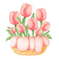 verschiedene Typen von süß Blumen png