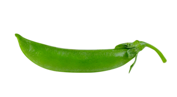 ervilhas verdes isoladas png