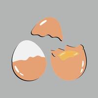 Egg vector illustration, Collection of whole, broken, fried, yolks, eggshells and boiled eggs. Whole and broken white and yellow fresh raw eggs.