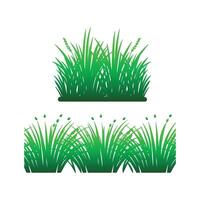 Green grass isolated on white background vector