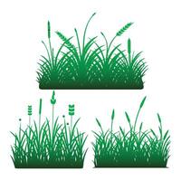 Green grass isolated on white background vector