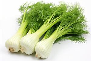 AI generated Fresh fennel on clean white background for eye catching advertisements and packaging designs photo