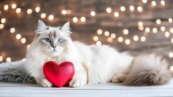 AI generated Cute kitty with heart shaped gift on magical background, valentine s day concept with copy space photo