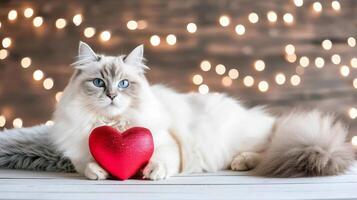 ai generado linda gatito con corazón conformado regalo en mágico fondo, enamorado s día concepto con Copiar espacio foto