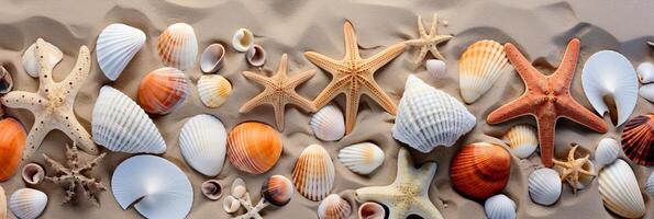 AI generated Sandy beach with seashells and starfish, natural textured background for summer vacation design photo