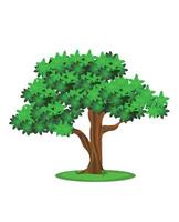 aislado árbol en blanco antecedentes gratis vector ilustración