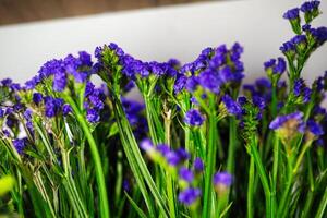 púrpura flores en florero - hermosa hogar decoración con Copiar espacio foto