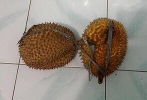a delicious favorite food in Asia -durians photo