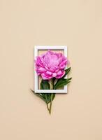 Peony in a white frame on a beige background. Creative layout. Minimal spring concept. Nature background. photo