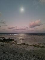 ver de el playa en el Maldivas en muy brillante luz de la luna en un casi despejado noche. foto
