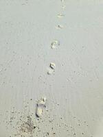 Footprints in the beach sand of the Maldives. photo