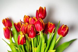 rojo y amarillo tulipanes en florero - hermoso, vistoso flores para Copiar espacio foto