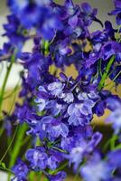 Purple Flowers in Vase photo