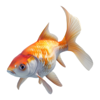 ai generiert 3d Rendern von ein schön bunt Fisch auf transparent Hintergrund - - ai generiert png