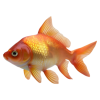 ai generado 3d representación de un hermosa vistoso pescado en transparente antecedentes - ai generado png