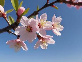 AI generated a branch of pink flowers with blue sky in the background photo