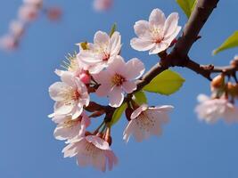 AI generated cherry blossoms on a branch against a blue sky photo