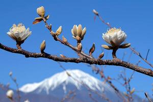 AI generated Beautiful Nature Mountain Scenery professional photography photo