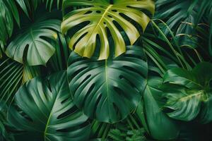 AI generated Tropical Leaves Foliage Plant Bush professional photography photo
