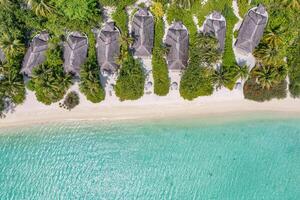 Aerial top view beach. Tropical beach white sand turquoise sea palm trees shadows sunlight. Drone luxury resort villas pools. Paradise travel destination best vacation landscape. Amazing nature island photo