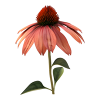 ai generado coneflower en transparente antecedentes - ai generado png