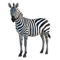 ai gerado zebra em pé caixa em transparente fundo - ai gerado png