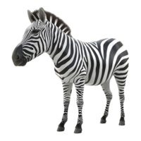 ai gerado zebra em pé caixa em transparente fundo - ai gerado png