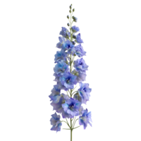 ai généré delphinium fleur sur transparent Contexte - ai généré png