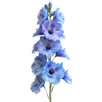 ai gerado delfínio flor em transparente fundo - ai gerado png