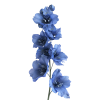 ai gerado delfínio flor em transparente fundo - ai gerado png