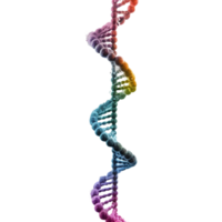 ai generato dna struttura elemento su trasparente sfondo - ai generato png