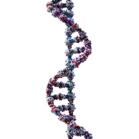 ai gerado dna estrutura elemento em transparente fundo - ai gerado png