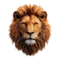 ai généré Lion sur transparent Contexte - ai généré png